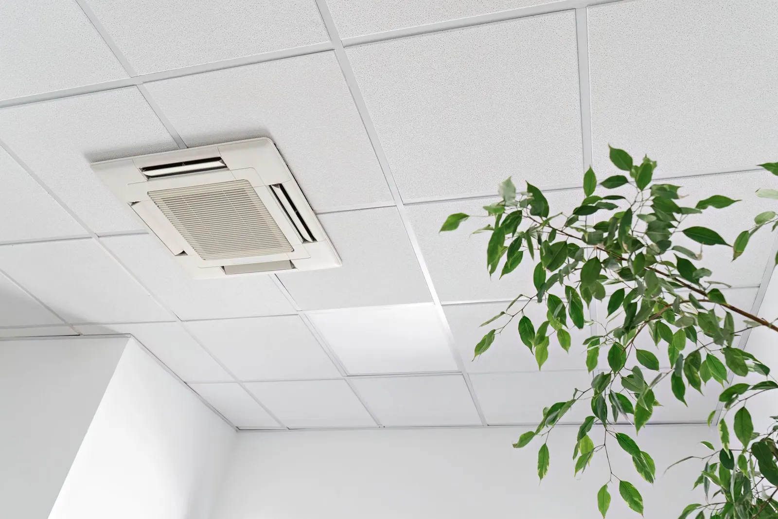 A white ceiling with a square HVAC vent and a green potted plant in the corner.