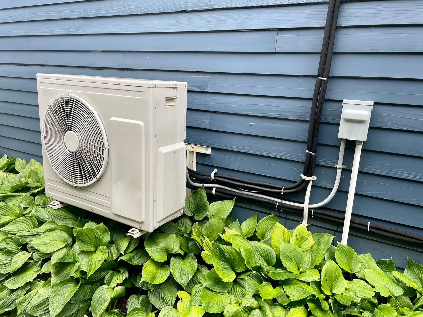 A light-colored outdoor HVAC condenser unit mounted on blue siding, partially obscured by green leafy plants.